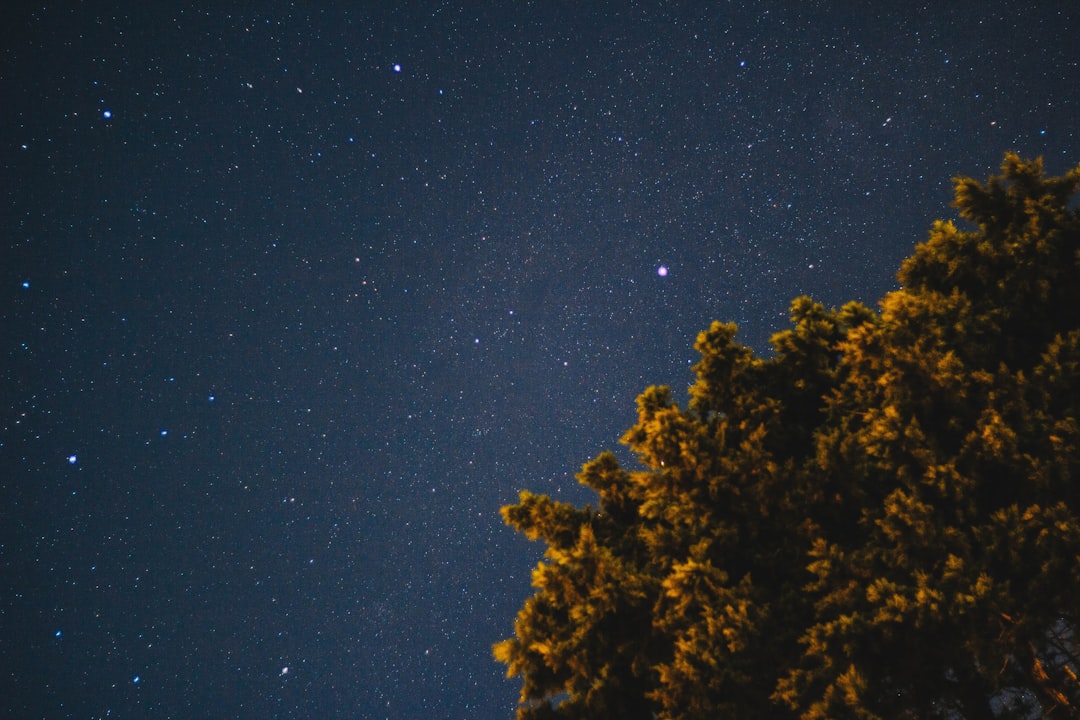 28 Million BookTok Sales in Germany — What the Numbers Don't Show